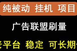 （2661期）【稳定挂机】出海广告联盟挂机项目，每天躺赚几块钱，多台批量多赚些