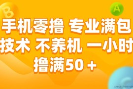 （15059期）手机零撸 专业满包技术 不养机 一小时撸满50+