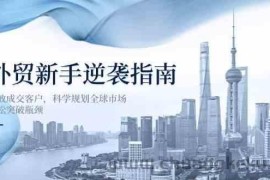 外贸新手逆袭指南：高效成交客户，科学规划全球市场，轻松突破瓶颈