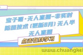 宝子哥·无人直播-非实时防风技术(更新25年5月)无人半无人直播