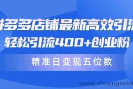 （10041期）拼多多店铺最新高效引流术，轻松引流400+创业粉，精准日变现五位数！