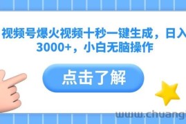 （14507期）视频号爆火视频十秒一键生成，日入3000+，小白无脑操作