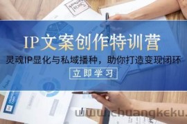 IP文案创作特训营，灵魂IP显化与私域播种，助你打造变现闭环（14节课）