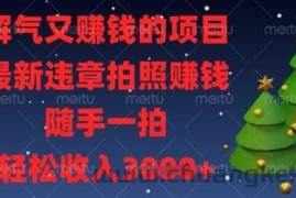 解气又挣钱的项目，最新违章拍照挣钱，随手一拍，轻松收入数张【揭秘】