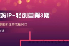 （11042期）宝妈IP-轻创营第3期，人人都能抓住的流量风口（21节课）