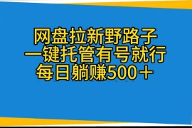 （10468期）网盘拉新野路子，一键托管有号就行，全自动代发视频，每日躺赚500＋