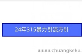24年315暴力引流方针