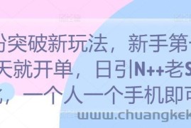 S粉突破新玩法，新手第一天就开单，日引N++老S批，一个人一个手机即可【揭秘】