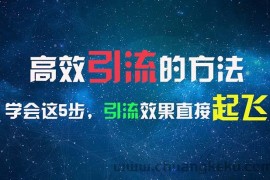 （11776期）高效引流的方法，可以帮助你日引300+创业粉，一年轻松收入30万，比打工强