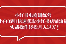 （5309期）小红书电商训练营，小白0到1快速获取小红书店铺流量，实战操作月入过万