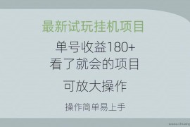 （10510期）最新试玩挂机项目 单号收益180+看了就会的项目，可放大操作 操作简单易…