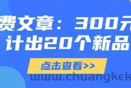 付费文章：300元设计出20个新品