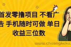 （14505期）零撸项目 不看广告 手机随时可做 单日收益三位数