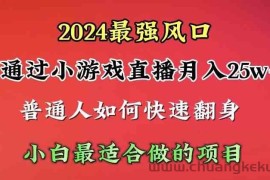 （10020期）2024年最强风口，通过小游戏直播月入25w+单日收益5000+小白最适合做的项目