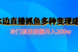 (6674期)水边直播抓鱼多种变现途径冷门项目月入200w拆解
