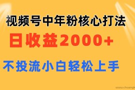 （11205期）视频号中年粉核心玩法 日收益2000+ 不投流小白轻松上手