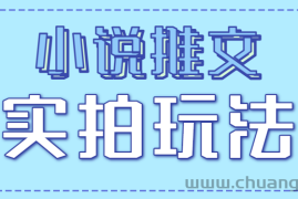 小说推文实拍玩法，零成本零门槛10元/单，轻松月收益万元