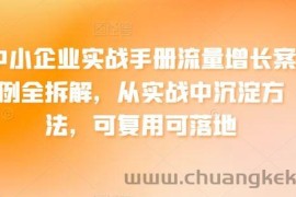 中小企业实战手册流量增长案例全拆解，从实战中沉淀方法，可复用可落地