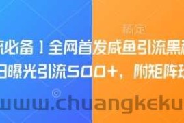 【引流必备】全网首发咸鱼引流黑科技，单日曝光引流500+，附矩阵玩法【揭秘】
