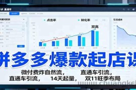 拼多多爆款起店课：微付费炸自然流，直通车引流，14天起量，双11旺季布局