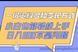 一份资料多种变现方式，小白也能轻松上手，日入800不是问题【揭秘】