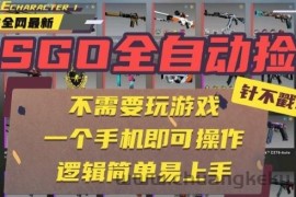 CSGO自动捡漏项目，最新独家玩法，一个手机即可操作，新手小白轻松月入1W+，操作简单易上手【揭秘】