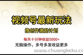 （10591期）视频号最新玩法，每日一小时月入5000+