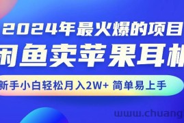 （10863期）2024年最火爆的项目，闲鱼卖苹果耳机，新手小白轻松月入2W+简单易上手
