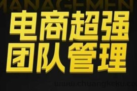 电商超强团队管理，组织绩效，到用人执行，分权合伙