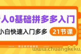 新人0基础拼多多入门，纯小白快速入门多多（21节课）