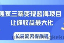 独家三端变现蓝海项目，让你收益最大化，长尾流无限躺挣
