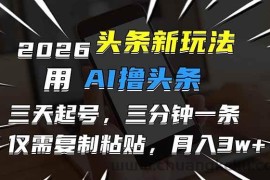（17044期）2026最新头条玩法，用AI撸头条，3天必起号，3分钟1条，只需要复制粘贴，简单月入3W+