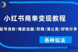 小红书商单变现教程：起号涨粉/爆款选题/剪辑/蒲公英/好物分享/各种玩法
