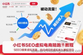 小红书SEO虚拟电商陪跑教程，实现seo搜索被动流量，自动成交的被动收入睡后项目