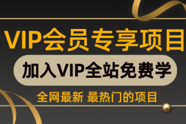 （1308期）虚拟产品销售从零基础到销售高手2.0，日赚千元实操方法(5节视频)