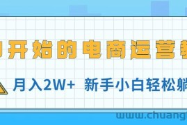 （11081期）从0开始的电商运营教学，月入2W+，新手小白轻松躺赚