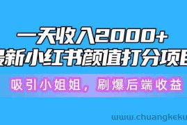 （10187期）一天收入2000+，最新小红书颜值打分项目，吸引小姐姐，刷爆后端收益