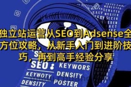 独立站运营从SEO到Adsense全方位攻略，从新手入门到进阶技巧，再到高手经验分享