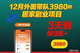 12月外面带队3980的居家副业项目，一部手机实测3天到账9张+，首发教程【揭秘】