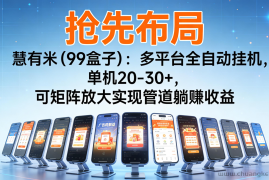 抢先布局慧有米（99盒子）：多平台全自动挂机，单机20-30+，可矩阵实现管道躺赚