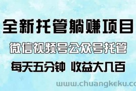 （14425期）全新托管躺赚项目，微信视频号公众号托管代运营，每天五分钟，收益大几百