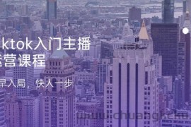 Tiktok入门主播运营课程，及早入局，快人一步（11节）