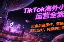 TikTok海外小店运营全流程，包含后台操作、营销推广、风险应对，完整的知识闭环
