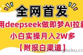 用deepseek做即梦Ai拉新 小白实操月入过W+【附报白渠道】