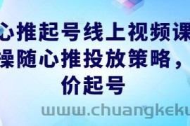 随心推起号线上视频课，实操随心推投放策略，正价起号