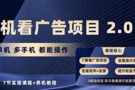手机看广告项目2.0，单机收益30-50，提现秒到账