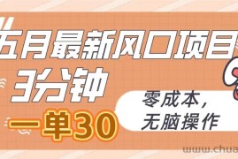 （10256期）五月最新风口项目，3分钟一单30，零成本，无脑操作