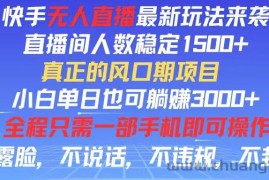 （11792期）快手无人直播全新玩法，直播间人数稳定1500+，小白单日也可躺赚3000+，…