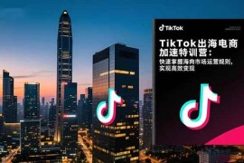 （16535期）TikTok出海电商加速特训营：快速掌握海外市场运营规则，实现高效变现