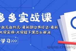 （10865期）拼多多·实战课：万人团玩法/截流自然流/最新强付费打法/最新原价卡大促..